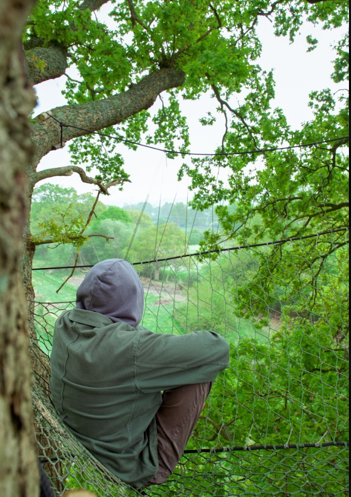 Looking out from a tree net over the woodland canopy at Mana & Wak near Borehamwood